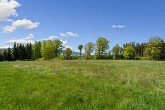 Stavební pozemek 6652 m² – Horní Nemojov - 10