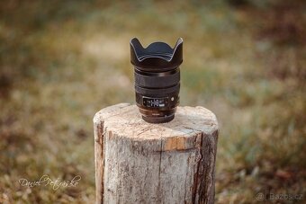 Canon C200 + EF 17-55 - 10