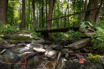 Prodej, komerční/ubytování, 650 m2, 79344 Horní Město, Brunt - 10