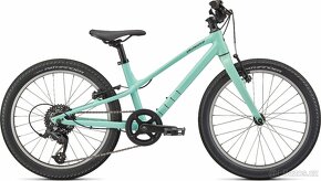 SPECIALIZED JETT 20 GLOSS OASIS / FOREST GREEN - 10