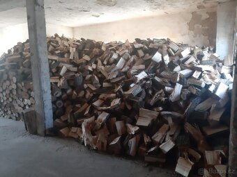 Palivové dřevo - 10