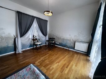 1+KK 26m2 Vinohrady vhodne pro Masaze - 10