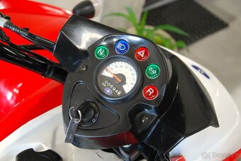 Polaris Phoenix 200 - 10