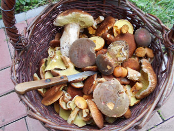 ZDĚNÁ CHATA NA VLASTNÍM POZEMKU 40. min. od PRAHY - 10