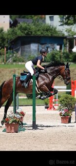 Docházka k valachovi - 10