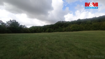 Prodej louky, 12373 m², Jenčice - 10