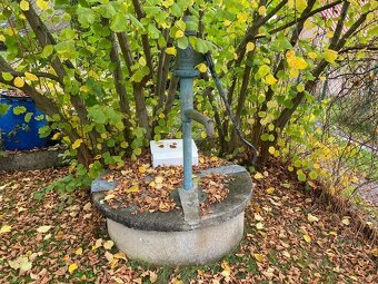 PRODEJ ZDĚNÉ CHATY, V ZAHRÁDKÁCH, BOROVANY - 10