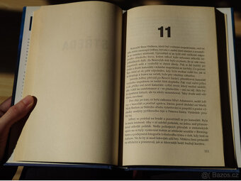 Zběsilost - Karin Slaughter - 10