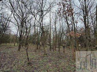 Prodej investičního pozemku Bohosudov - Krupka - 10