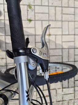 AMULET MAXIMA 19" - 10