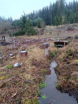 Prodej lesa na Šumavě - 10