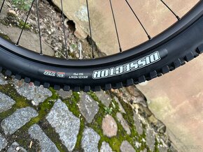 Focus Thron 6.8 velikost L 29´´ - 10
