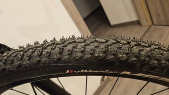 Focus Whistler 3.9 2020, vel. M - 10