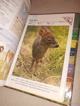 Encyklopedie zvířat - 10