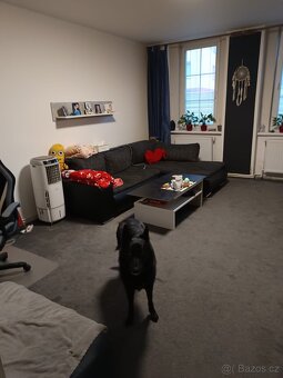 Pronajmu dlouhodobě byt 2+1 v Litvínově ul. Tržní - 10