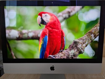 Apple iMac 2017 21,5" 4K Retina i5 8GB Radeon Pro 560 4GB - 10