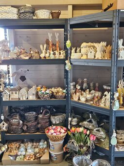 Jarní květiny, rostliny - 10