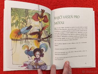 TAJEMSTVÍ KOUZELNÉHO PÍRKA - V.Šoltys - 10