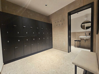 Pronájem bytu 1+kk 42 m² Bratislavská, Brno - Zábrdovice - 10