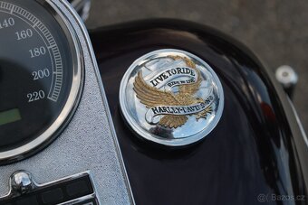 Harley-Davidson 1998 FLSTS Heritage Springer 95thAnniversary - 10