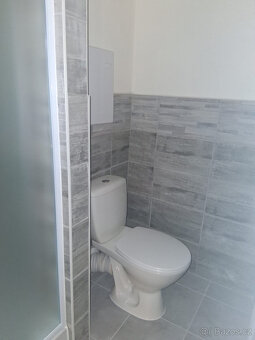 Pronájem nově zrekonstruovaného bytu o velikosti 3+1+L - 10