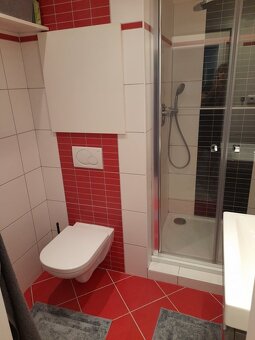Prodej bytu 1+1/ apartment for sale 33 m², Brno-Kohoutovice - 10