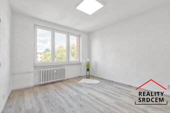 Pronájem zrekonstruovaného bytu 2+1 s balkonem, 55 m2, V Ale - 10