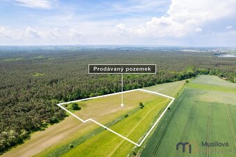 Prodej pole a lesa 84 910 m2 - 10