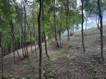 Stavební pozemek 1 528 m² u potoka – v chatařské osadě - 10
