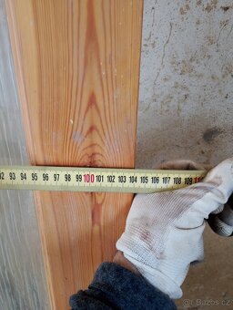 Litačky dvoukřidlé. - 10