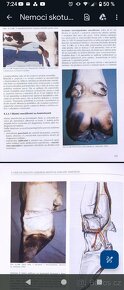 VŠ Skripta v PDF formátu - ČZU, Veterina, Ekonomie - 10