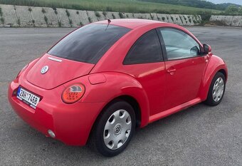 New Beetle - 10