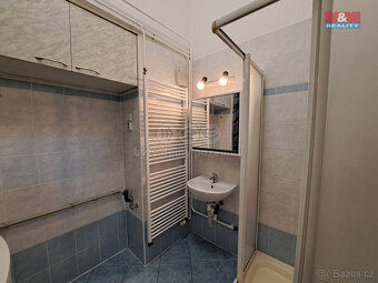 Pronájem bytu 1+1, 48 m², Brno, ul. Cejl - 10