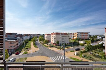 Prodej velkého bytu Plzeň - 10
