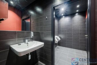 Pronájem komerčních prostor  264m2 - 10