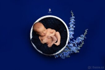 Focení novorozenců Praha a celé ČR, ateliér / doma Newborn - 10