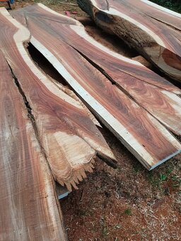 Jilmové fošny, členité, nádherná kresba - 10