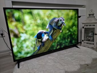 Smart Televize LG 49LJ594V - 10
