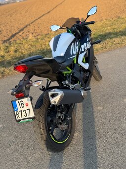 Kawasaki Ninja 125 2020 ABS 11kw A1 - 10
