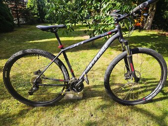 Cannondale Trail 6 29 - 10