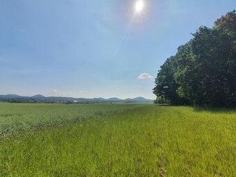 Prodej pozemku v Dubé, Českolipsko. - 10