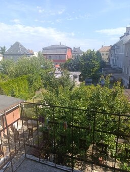 Pronájem bytu 2+1, ul. Škroupova, Olomouc - 10