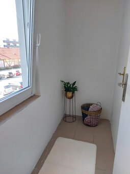 Prodej bytu 3+1 v centru Olomouce u parku - 10