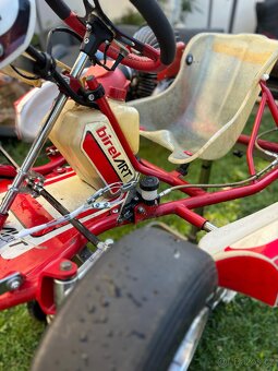 Kart Birel Easykart 60cc - 10
