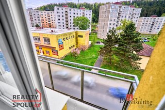Prodej, byty/2+1, 51 m2, Pohraniční stráže 380, 35801 Krasli - 10