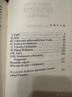 Detektivní romány - 10