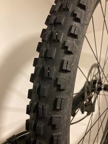 NS bikes Eccentric 29 EVO 2020, velikost M - 10