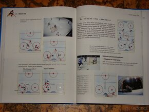 Výchova k sexuálně reprodukčnímu zdraví, Encyklopedie práva - 10