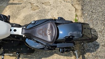 Sportster 48 Harley davidson 1200 - 10