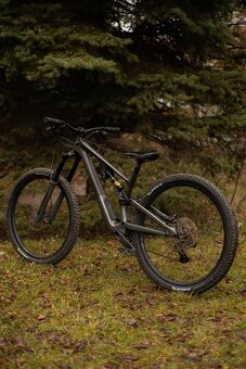 Specialized Stumpjumper EVO 29 2022 - 10